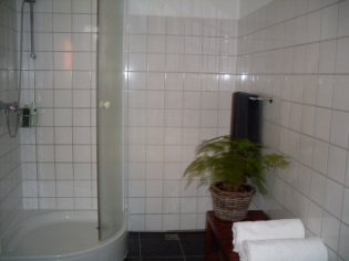 badkamer met douche